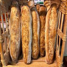 BAGUETTE TRADIBIO TYPE 65 -500g 