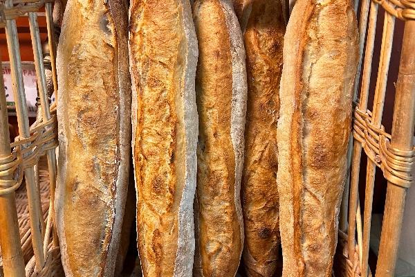 BAGUETTE TRADIBIO TYPE 65 -500g 