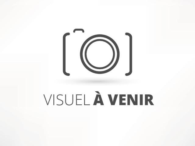 PAIN AU PAVOT TYPE 80-500g 